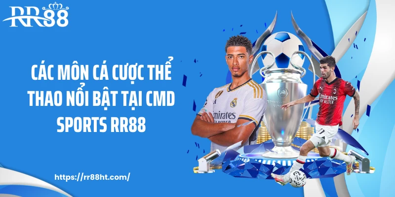 Các môn cá cược thể thao nổi bật tại CMD Sports RR88
