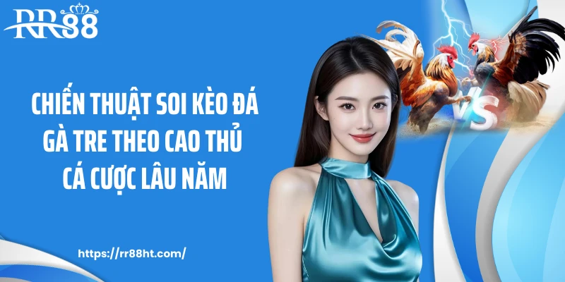 Chiến thuật soi kèo đá gà tre theo cao thủ cá cược lâu năm