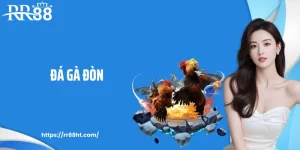 Đá Gà Đòn: Sàn Đấu Kê Gay Cấn Và Mạnh Mẽ Tại RR88