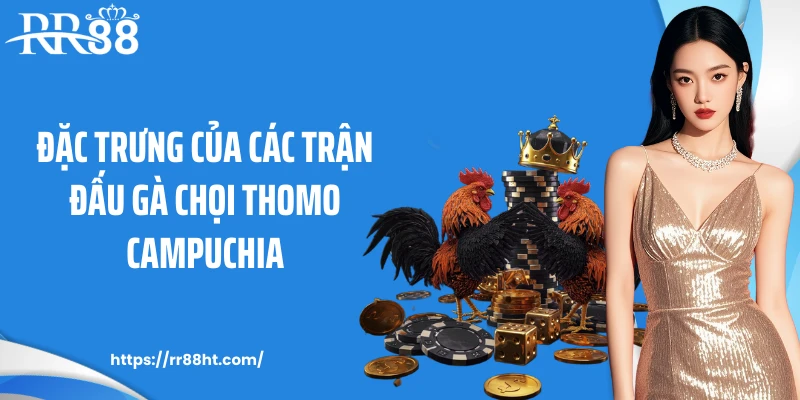 Đặc trưng của các trận đấu gà chọi Thomo Campuchia