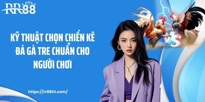 Kỹ thuật chọn chiến kê đá gà tre chuẩn cho người chơi