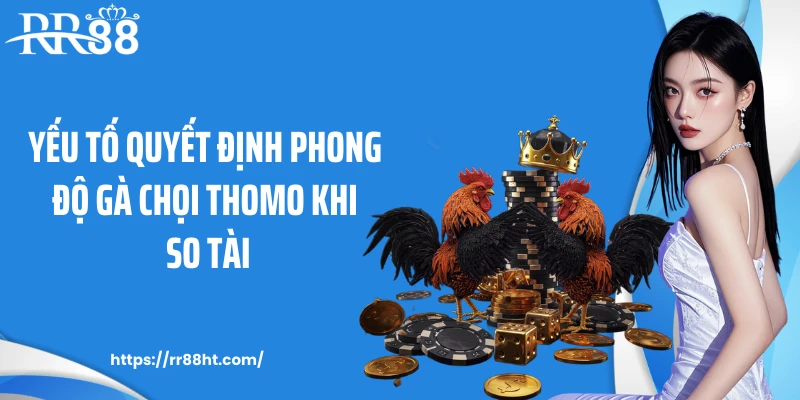 Yếu tố quyết định phong độ gà chọi Thomo khi so tài